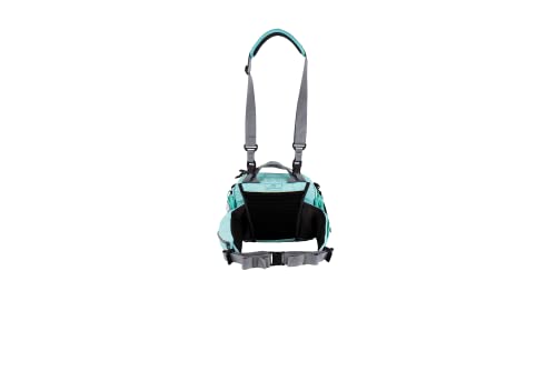Mountainsmith Tour Lumbar Pack - color: Cascade Teal