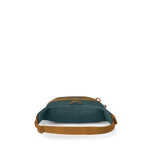 Osprey Daylite Waist Pack - Fanny Pack with Crossbody Shoulder Carry Option - Lightweight Hip Bag - color: Torrent Blue