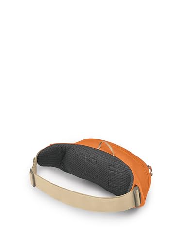Osprey Daylite Waist Pack - Fanny Pack with Crossbody Shoulder Carry Option - Lightweight Hip Bag - color: Umber/Tequila Sunrise
