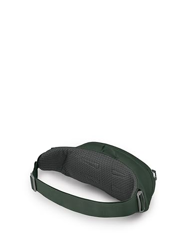Osprey Daylite Waist Pack - Fanny Pack with Crossbody Shoulder Carry Option - Lightweight Hip Bag - color: Green Belt/areen Canopy