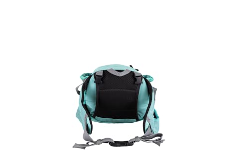 Mountainsmith Drift Lumbar Pack - color: Cascade Teal