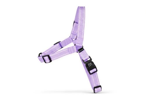 ShawnCo Dream Walk Pro No-Pull Dog Harness (ICY Lilac, Small) - color: Icy Lilac, size: Small