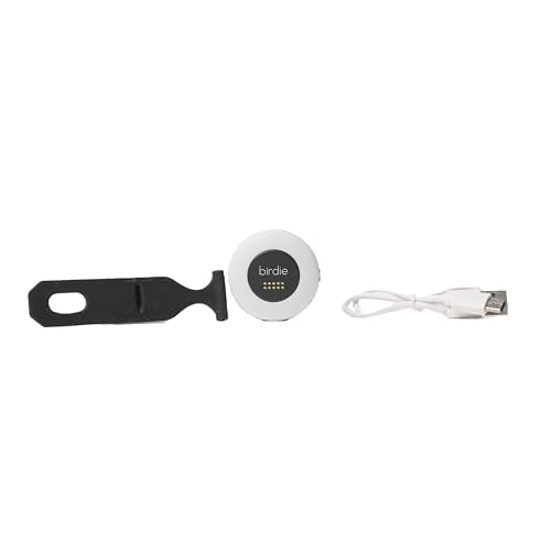 She's Birdie - The Original Personal Safety Alarm Disc for Bikes, Hikes, and Late Nights - Loud Siren, LED Light for Extra Visibility, Rechargeable, Handsfree, Lightweight, Water Resistant (Charcoal) - color: Charcoal