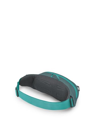 Osprey Daylite Waist Pack - Fanny Pack with Crossbody Shoulder Carry Option - Lightweight Hip Bag - color: Jetstream Blue
