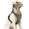 rabbitgoo Tactical Dog Harness Medium Sized, No Pull Service Pet Vest - color: Green Camo, size: M(chest:20.1"-33.9",neck:17.7"-22.3",back:7.5")