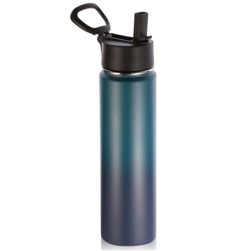 Volhoply 24oz Insulated Water Bottle with Straw Lid, Dark Night, 1-Pack - color: Dark Night