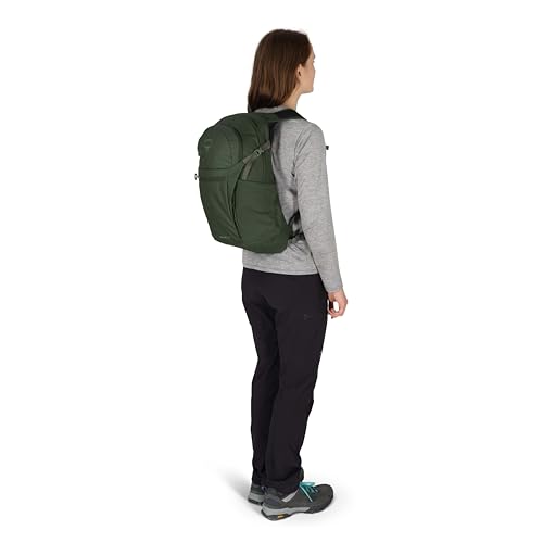 Osprey Daylite Plus Commuter Backpack, Green OS - color: Seaweed Green - Amazon Exclusive