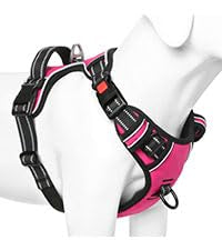 HEELE Dog Harness, Neck Release, No Pull Front Clip Vest, Fuchsia, S - color: Lock Fuchsia, size: S (Pack of 1)