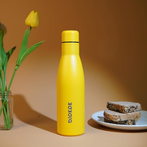 BJPKPK 17oz Skinny Insulated Water Bottle, Stainless Steel Flask - color: Midnight Black, size: 17 Ounces