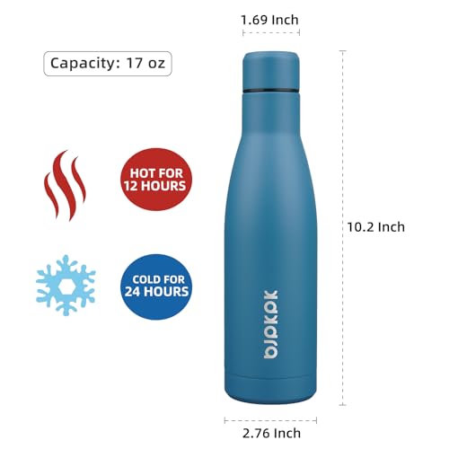 BJPKPK 17oz Skinny Insulated Water Bottle, Stainless Steel Flask - color: Sea Blue, size: 17 Ounces
