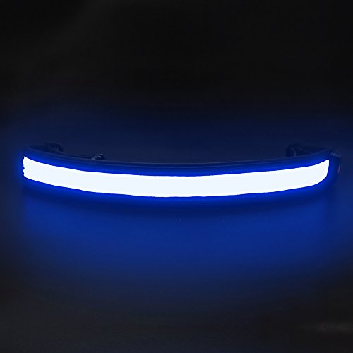 BSEEN LED Running Waist Belt - USB Rechargeable Reflective Glowing LED Waistband, Flashing Safety Light Belt for Runners, Joggers, Walkers, Pet Owners, Cyclists - color: Blue