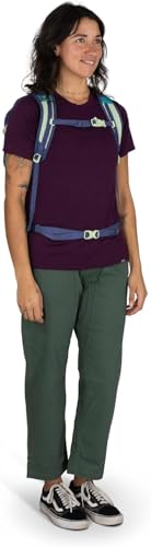 Osprey Daylite Plus Commuter Backpack, Blue OS - color: Blue Spikemoss/Alkaline