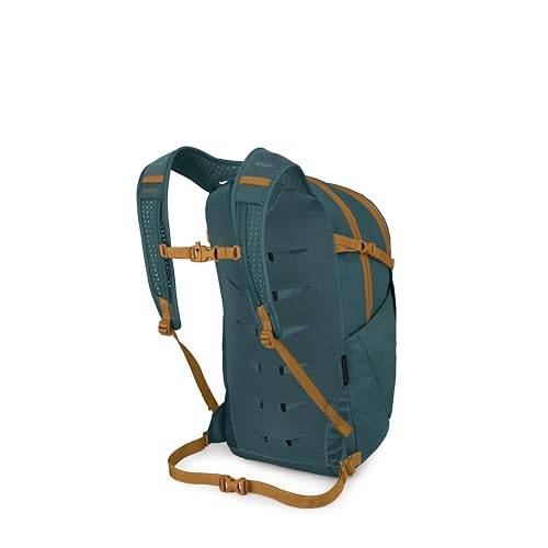 Osprey Daylite Plus Commuter Backpack, Blue OS - color: Torrent Blue
