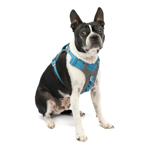 Kurgo Journey Air Dog Harness, Blue, Small - color: Blue, size: Small