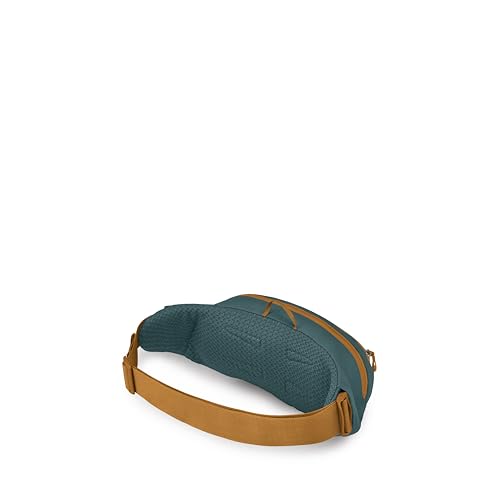 Osprey Daylite Waist Pack - Fanny Pack with Crossbody Shoulder Carry Option - Lightweight Hip Bag - color: Torrent Blue