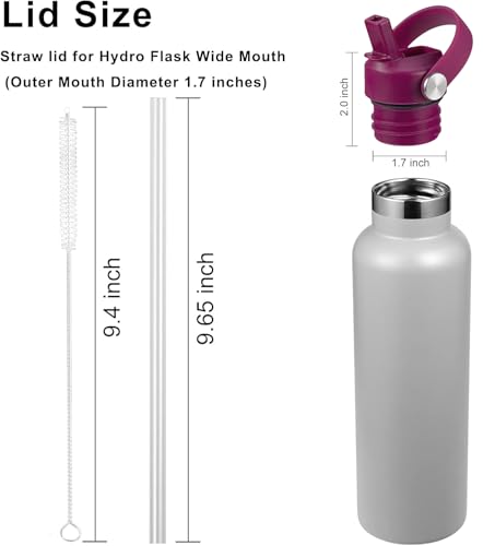 RRegeny Straw Lid fits Hydro Flask Standard Mouth, 21 24 oz, Sports Flex Cap Water Bottle Accessories Replacement Top - color: eggplant purple+1pack
