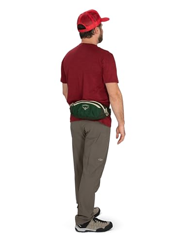 Osprey Daylite Waist Pack - Fanny Pack with Crossbody Shoulder Carry Option - Lightweight Hip Bag - color: Night Shift Blue