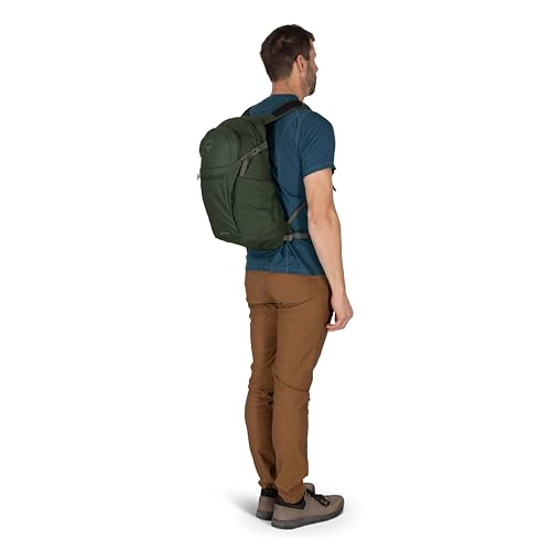 Osprey Daylite Plus Commuter Backpack, Green OS - color: Seaweed Green - Amazon Exclusive