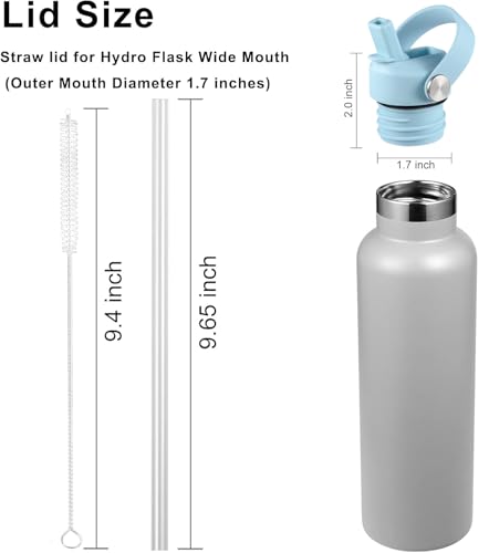 RRegeny Straw Lid fits Hydro Flask Standard Mouth, 21 24 oz, Sports Flex Cap Water Bottle Accessories Replacement Top - color: raindrop orchid+1pack