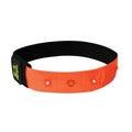 Amphipod Micro-Light Flashing Reflective Arm Band, LED Light Up