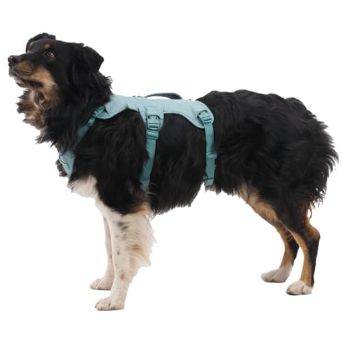 Ruffwear, Web Master Dog Body Harness, Red Canyon, X-Small - color: Red Canyon, size: X-Small