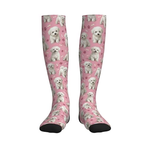 Cute Dog Compression Socks Women Men, Dog Lover Gift - color: Bichon Frise
