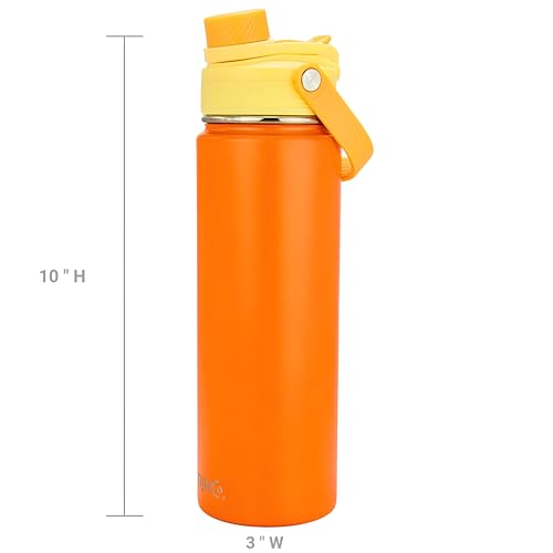 Drinco Stainless Steel Water Bottle Spout Lid Vacuum Insulated Double Wall Water Bottle Wide Mouth Leak Proof Keep Cold Sport Camping Hiking (22oz Citrus) - color: 22oz Citrus
