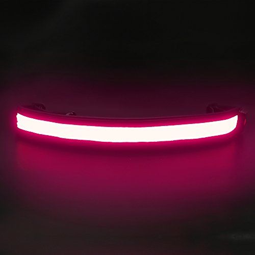 BSEEN LED Running Waist Belt - USB Rechargeable Reflective Glowing LED Waistband, Flashing Safety Light Belt for Runners, Joggers, Walkers, Pet Owners, Cyclists - color: Rose Red