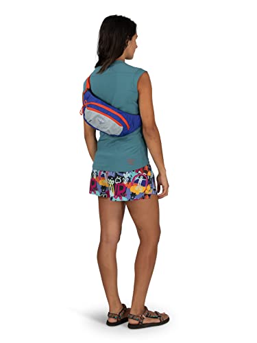 Osprey Daylite Waist Pack - Fanny Pack with Crossbody Shoulder Carry Option - Lightweight Hip Bag - color: Jetstream Blue