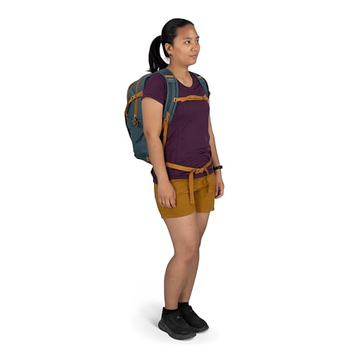 Osprey Daylite Plus Commuter Backpack, Pink OS - color: Iris Pink