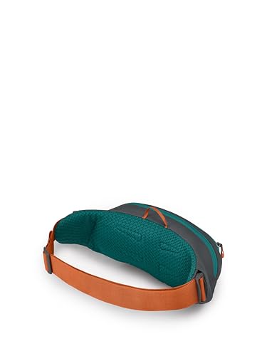 Osprey Daylite Waist Pack - Fanny Pack with Crossbody Shoulder Carry Option - Lightweight Hip Bag - color: Tumbleweed Yellow/Tunnel Vision