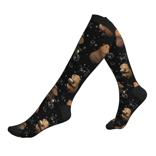 Compression Socks Knee High Circulation Support Socks For Women Men Athletic Running Work Hiking Cycling Travel - color: Capybaras