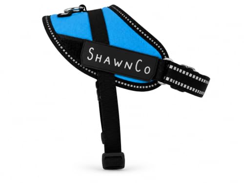ShawnCo Essential Pro Dog Harness, No-Pull Pet Vest (Oceanic Blue, XS) - color: Oceanic Blue, size: XS