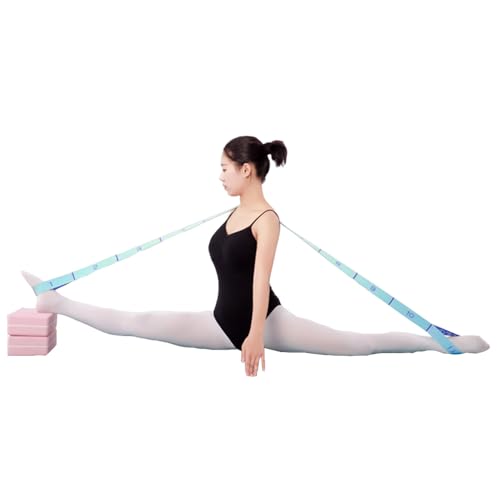 2-Pack 11-Loop Stretch Bands, Adjustable Stretch Strap for Yoga, Pilates, Dance, Ballet, Gymnastics, Flexibility, Leg Stretching, Physical Therapy & Stretching Equipment for Home Workout & Mobility - color: Pink+Blue