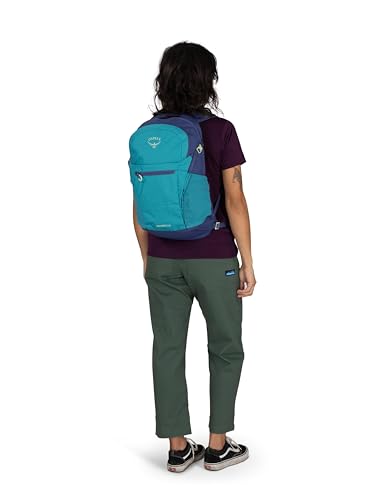 Osprey Daylite Plus Commuter Backpack, Blue OS - color: Blue Spikemoss/Alkaline