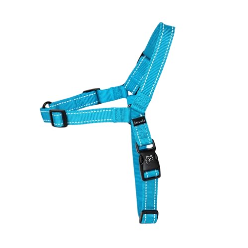ShawnCo Dream Walk Pro No-Pull Dog Harness (Oceanic Blue, Small) - color: Oceanic Blue, size: Small