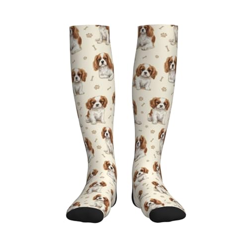 Cute Dog Compression Socks Women Men, Dog Lover Gift - color: King Charles Cavalier1