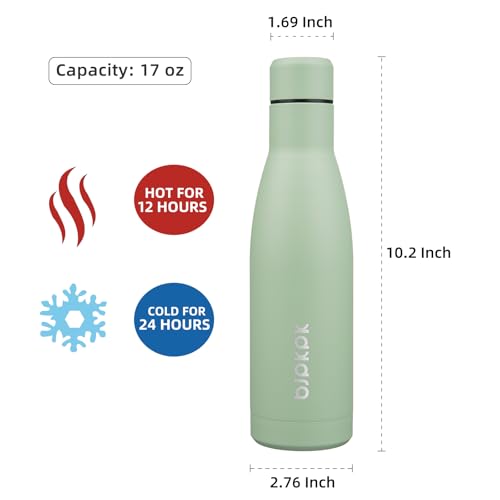 BJPKPK 17oz Skinny Insulated Water Bottle, Stainless Steel Flask - color: Macaron Green, size: 17 Ounces