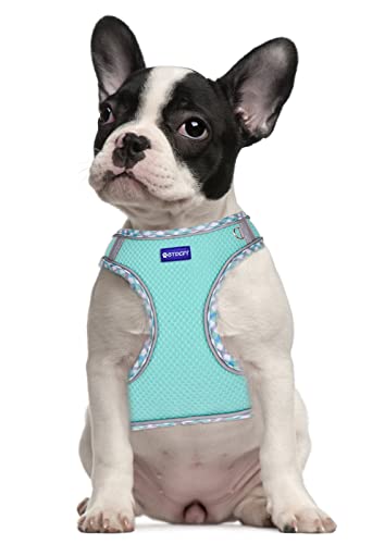 Step in Mesh Dog Harness and Leash Set Breathable Air Mesh Harness - color: Green, size: S(neck:10.5"-12",chest:13.5"-16")