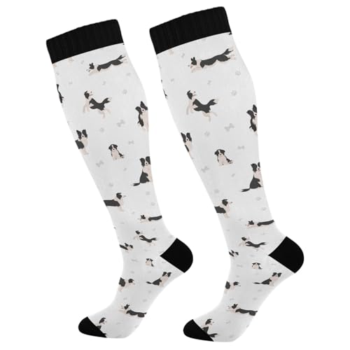Compression Socks for Women & Men Knee High Socks - color: Border Collie Dog