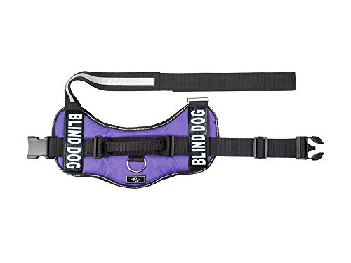 Doggie Stylz Blind Dog Harness, No Pull, Adjustable - color: Purple, size: Girth 12-16"