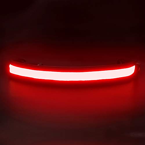 BSEEN LED Running Waist Belt - USB Rechargeable Reflective Glowing LED Waistband, Flashing Safety Light Belt for Runners, Joggers, Walkers, Pet Owners, Cyclists - color: Red