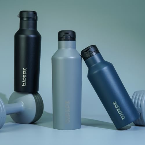 BJPKPK 25oz Insulated Thermal Water Bottle, Straw & Handle, Stainless Steel - color: Gray, size: 25 Ounces