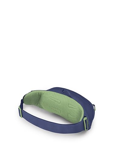 Osprey Daylite Waist Pack - Fanny Pack with Crossbody Shoulder Carry Option - Lightweight Hip Bag - color: Blue Spikemass/Alkaline