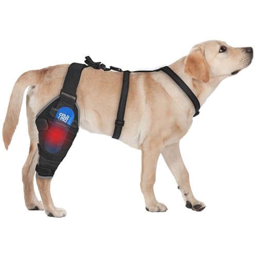 Kolmmeo Dog Knee Brace for Back Leg - Adjustable Breathable Canine Leg Wrap with Hot & Cold Gel Packs - Supports Large & Medium Dogs with Arthritis, Hip Dysplasia, ACL Injuries, Right Hind Leg (L)