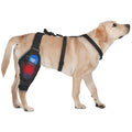 Kolmmeo Dog Knee Brace for Back Leg - Adjustable Breathable Canine Leg Wrap with Hot & Cold Gel Packs - Supports Large & Medium Dogs with Arthritis, Hip Dysplasia, ACL Injuries, Right Hind Leg (L)