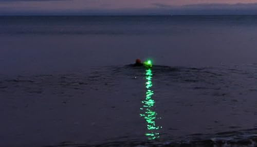 Rechargeable Safety Light | Water Reistant Bright LED Clip-On Flashing Light for Dog Walking, Running and Outdoor Activities (Green) - color: Green