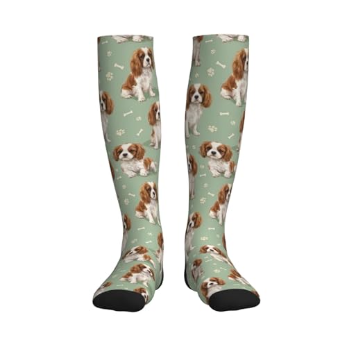 Cute Dog Compression Socks Women Men, Dog Lover Gift - color: King Charles Cavalier2
