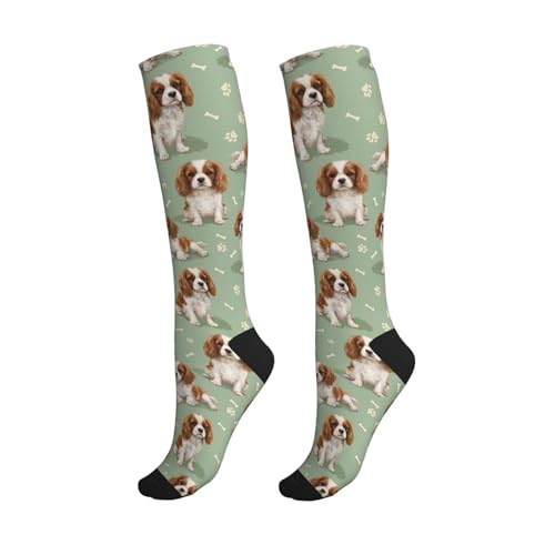 Cute Dog Compression Socks Women Men, Dog Lover Gift - color: King Charles Cavalier2