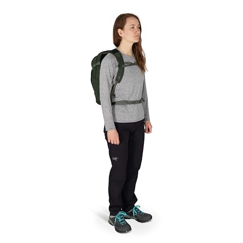 Osprey Daylite Plus Commuter Backpack, Green OS - color: Seaweed Green - Amazon Exclusive